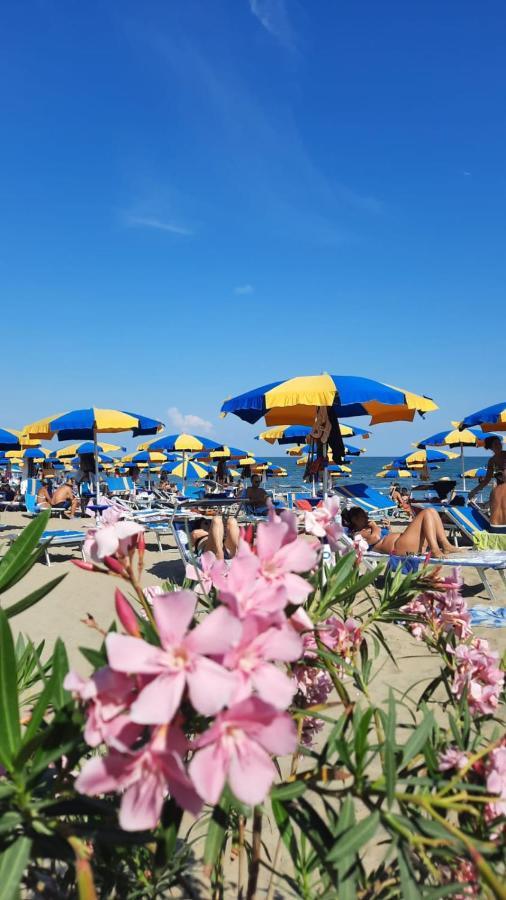 Appartamento A Cavallino 외부 사진